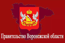 Министерство цифрового развития Воронежской области